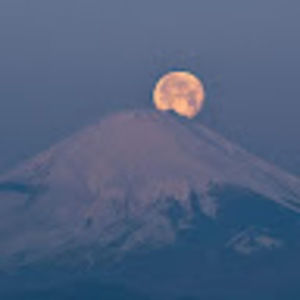 Meet your Posher, S.